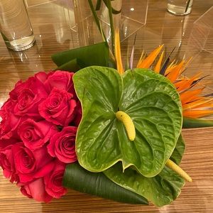 Meet your Posher, Ang